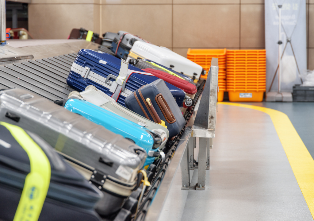 Airline Baggage Fees
